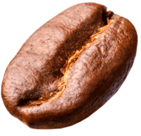 A single roasted coffee bean set against a transparent background.
