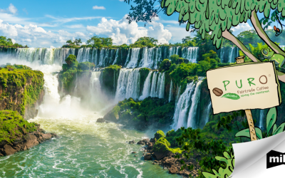 One More Rainforest Protected Through Puro Fairtrade Coffee